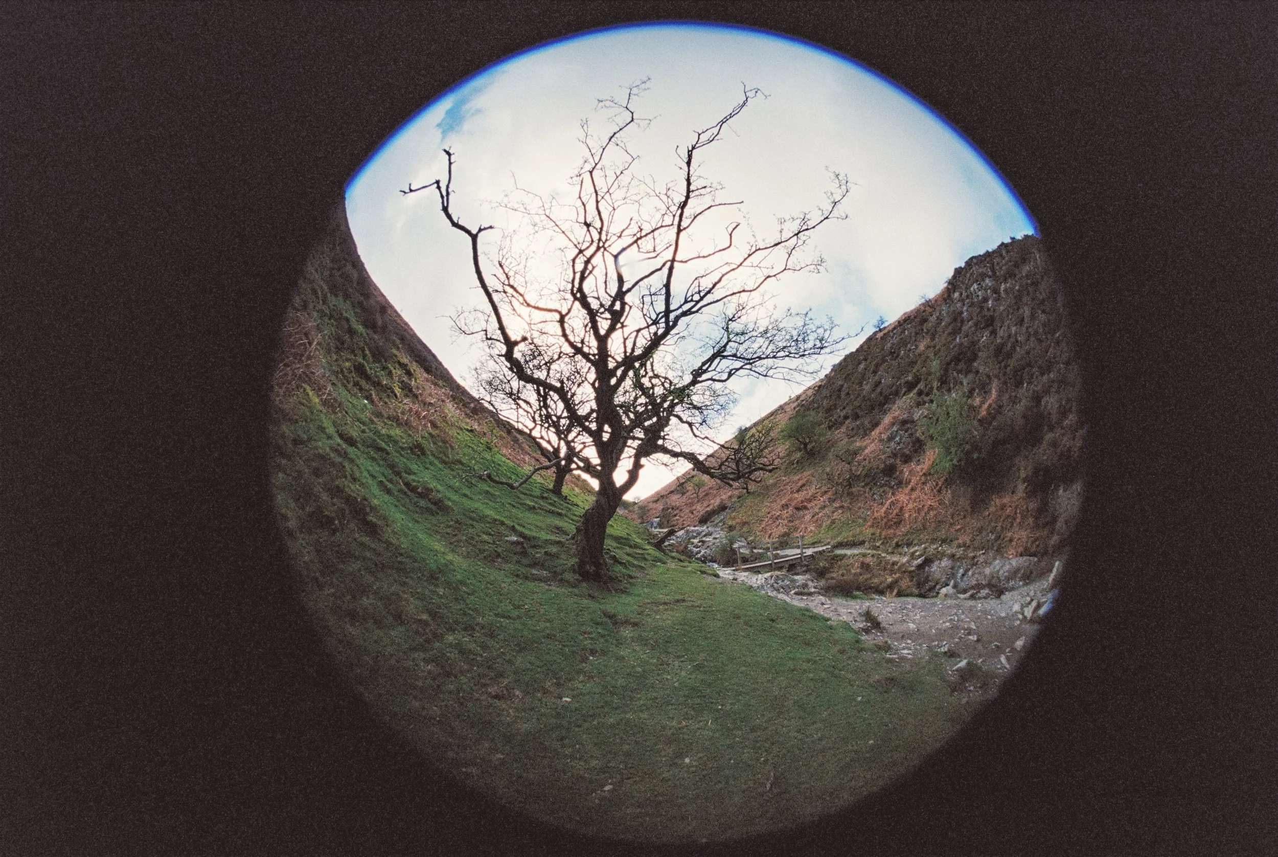 Nikon F3 Kodak Ultramax 400, Carding Mill Valley