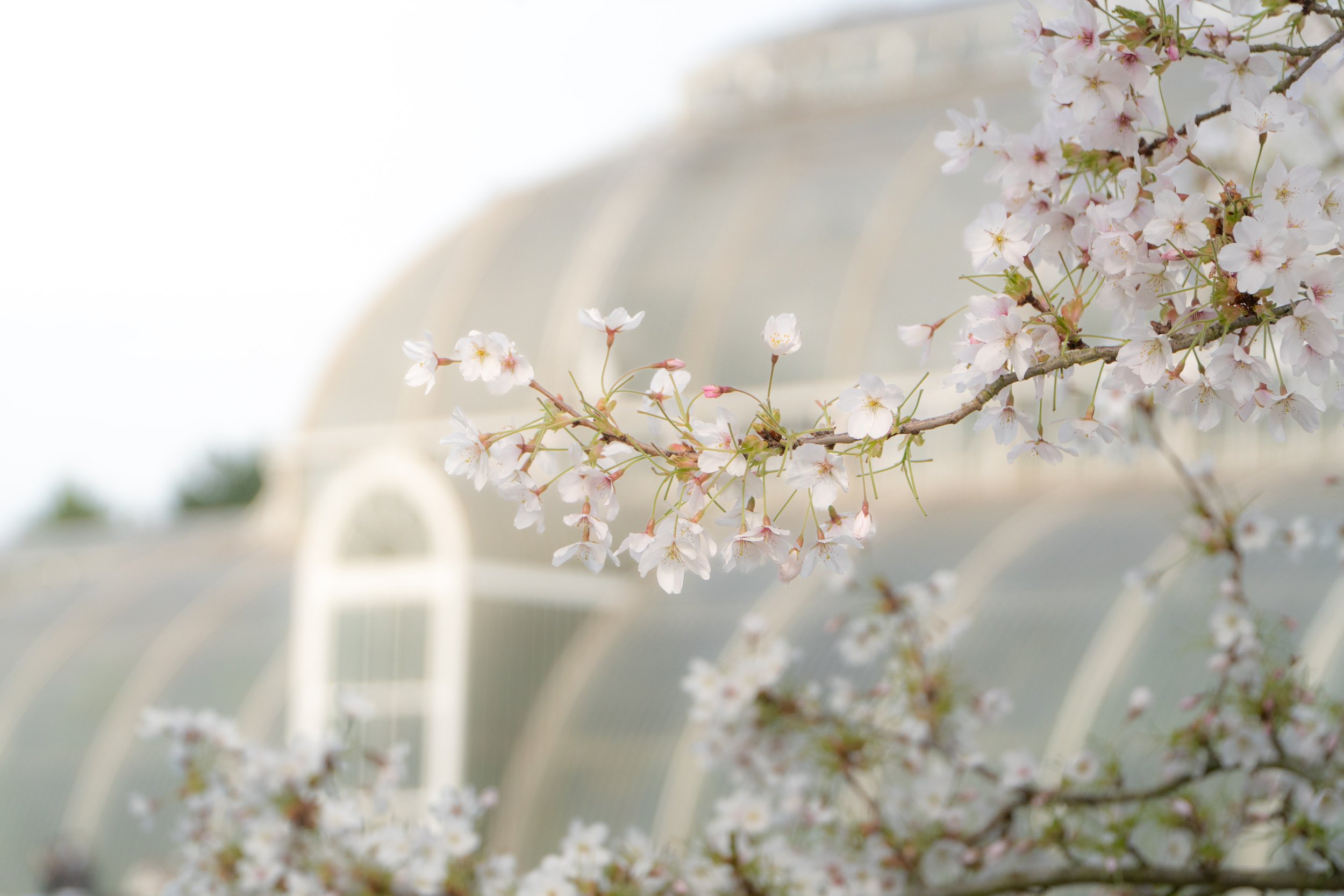 Kew Gardens, London