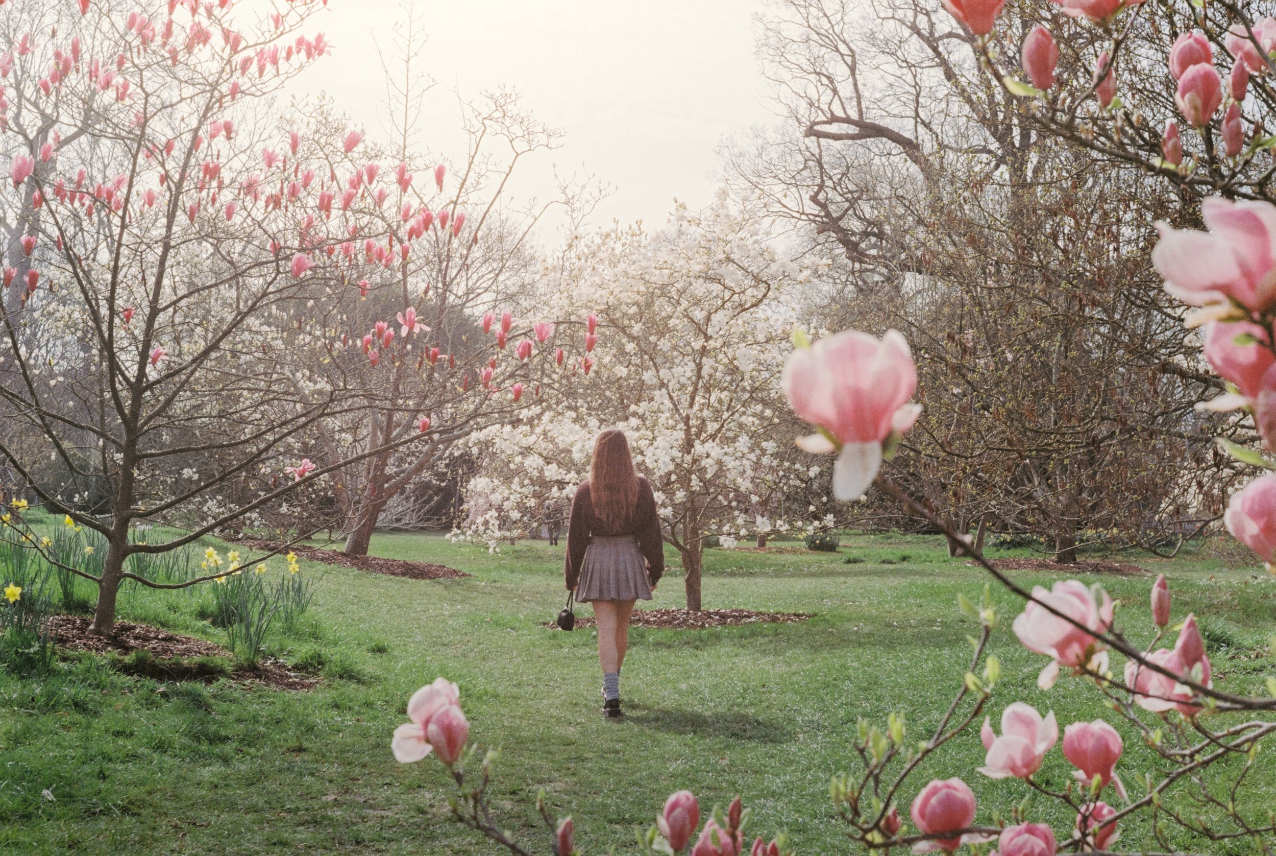Praktica TL 5B Kodak ColourPlus 200, Kew Garden