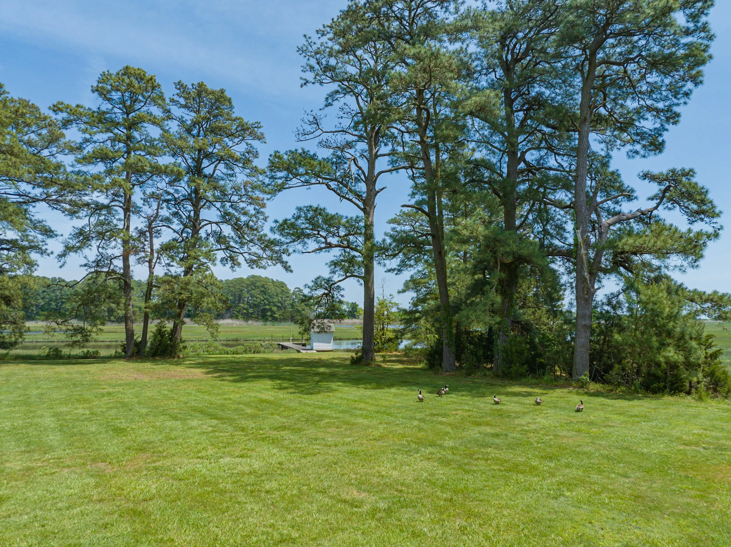 13485 Wharton Dr-056.jpg