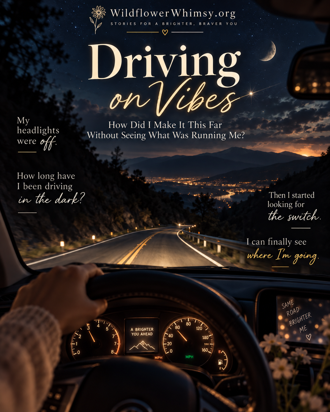 Driving on Vibes

How Did I Make It This Far Without Seeing What Was Running Me?