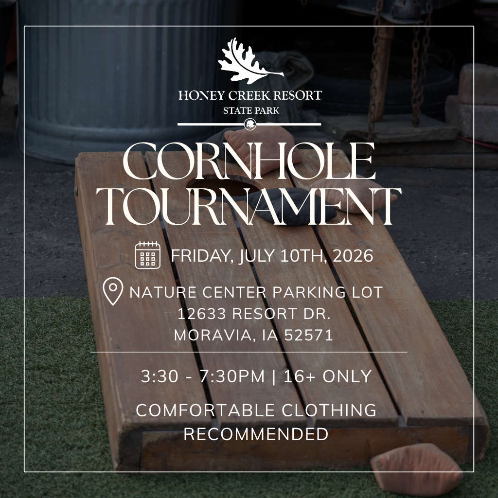 Corn Hole Tournament