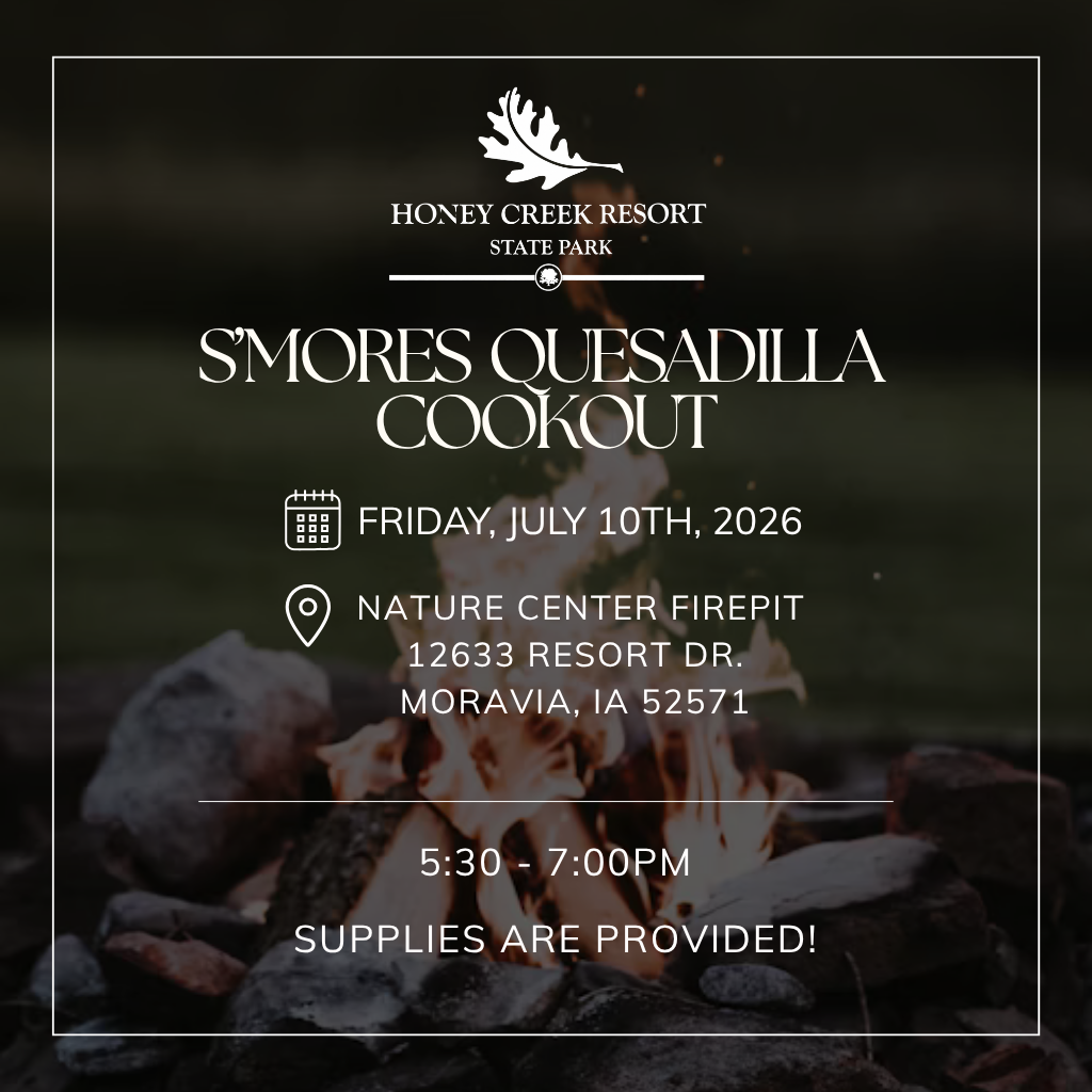 S'mores Quesadilla Cookout