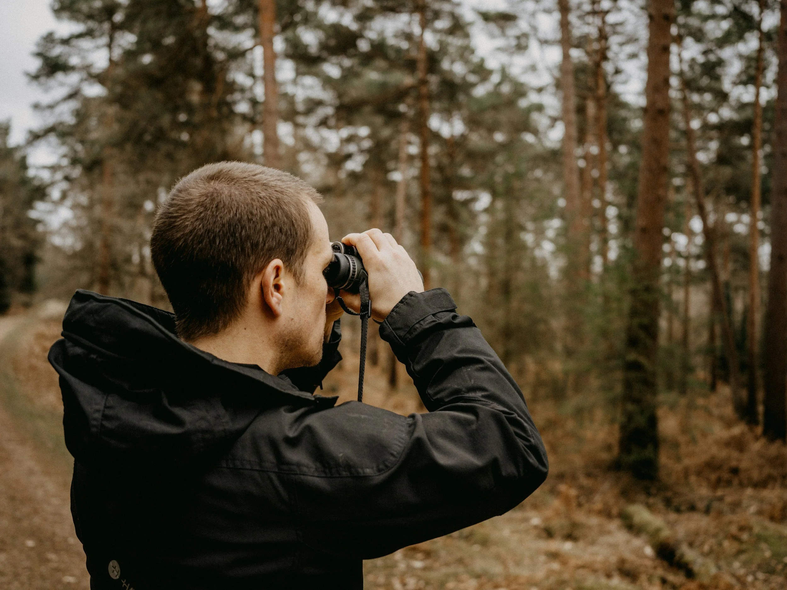 Bird Watching/Identification