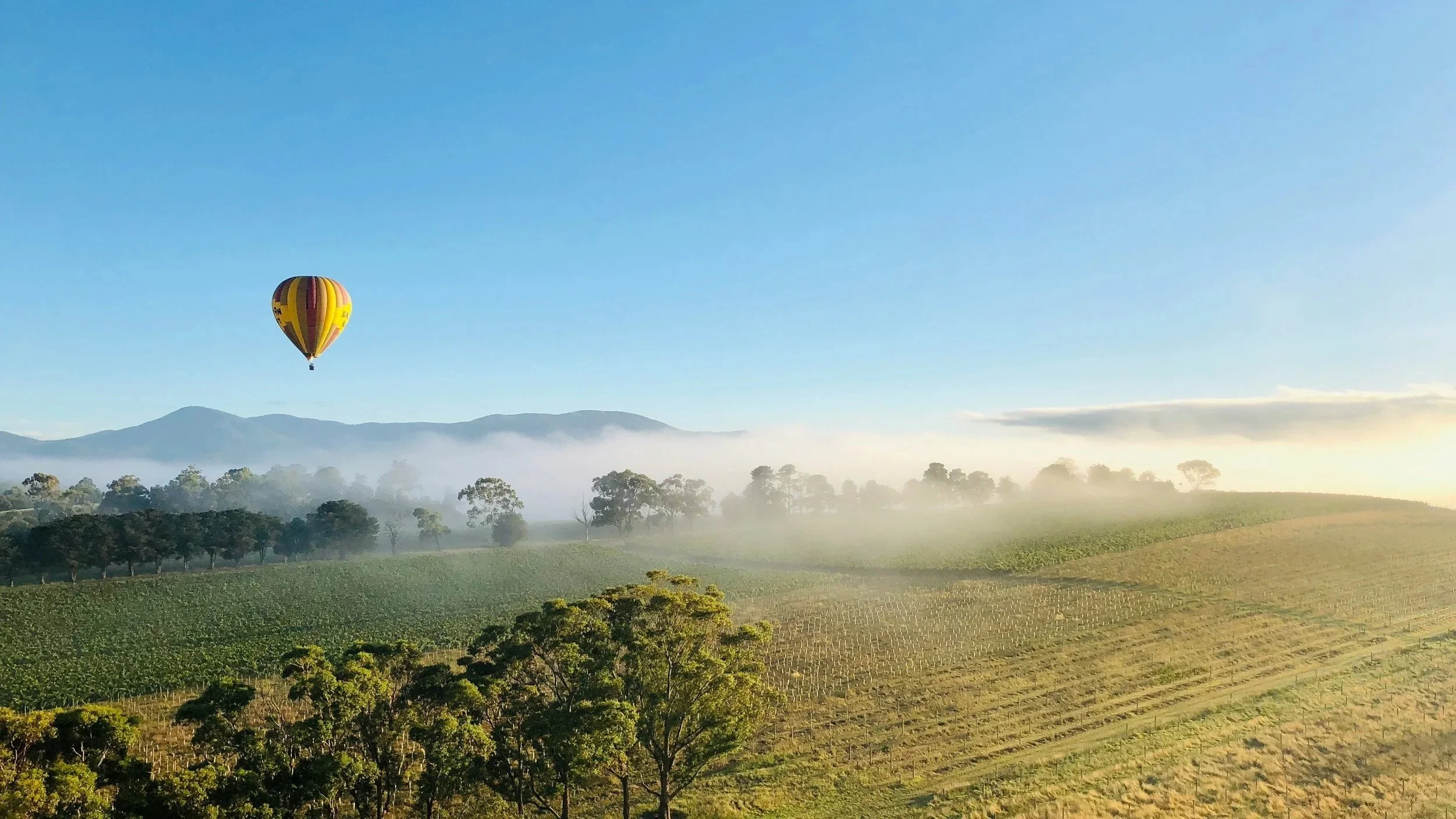 Hot air balloon, Coldstream, Australia  Photo by Tianlei Sun on Unsplash