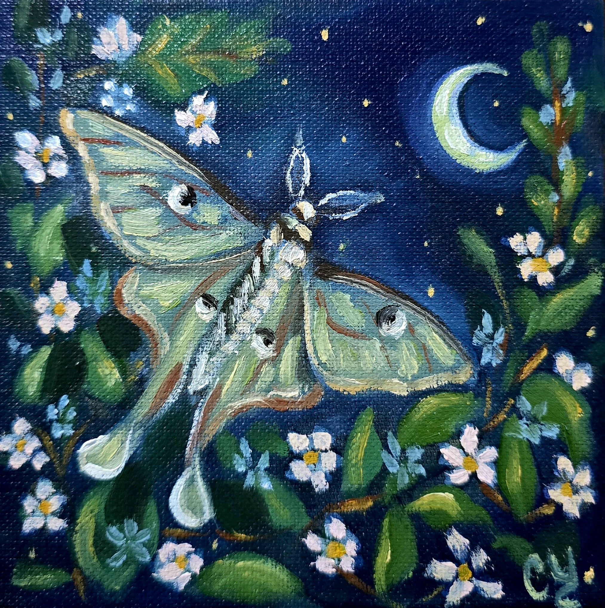 Luna and Jasmine Original Mini