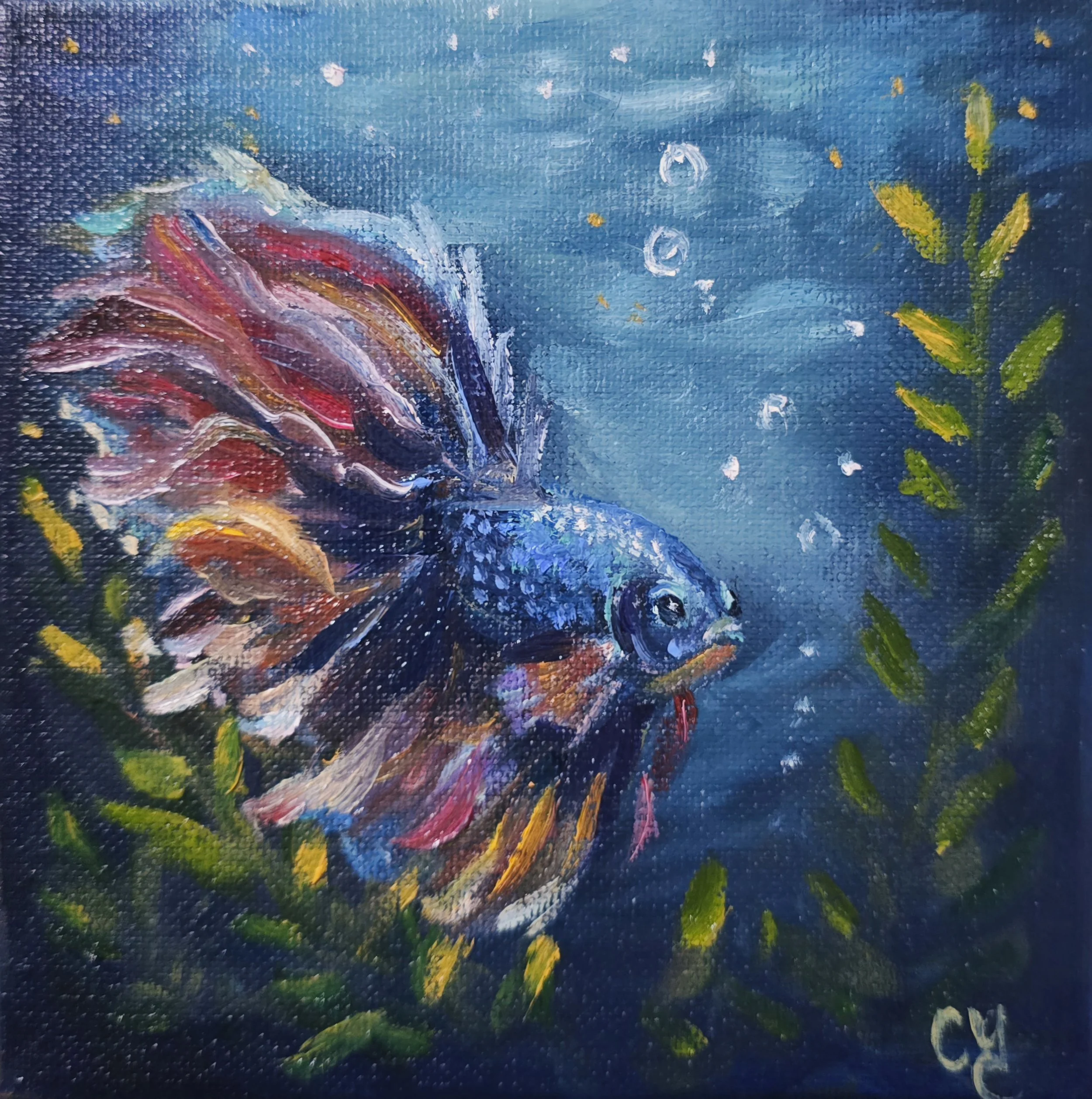 Betta in Blue Original Mini