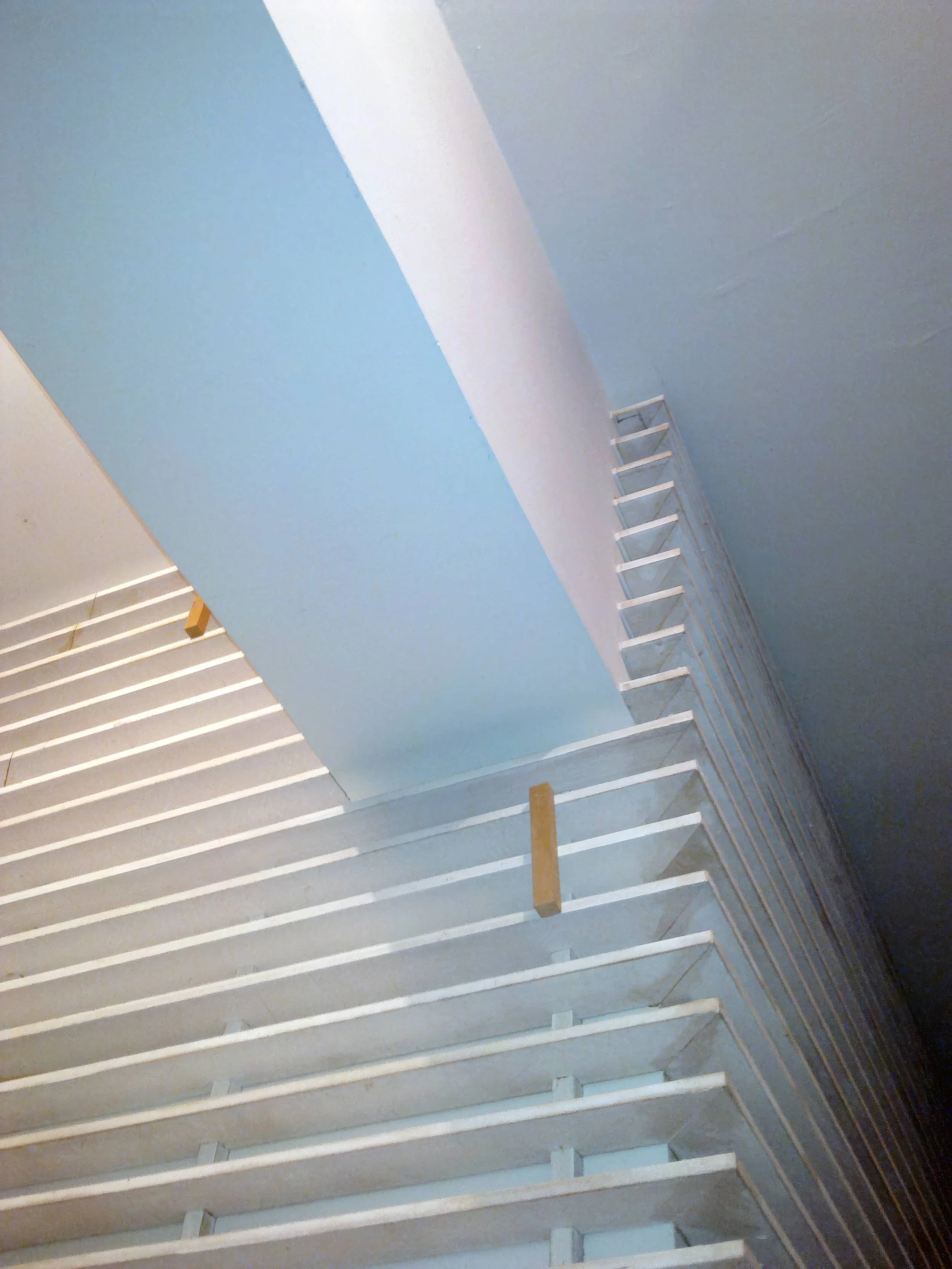 P11-co_Web.jpg