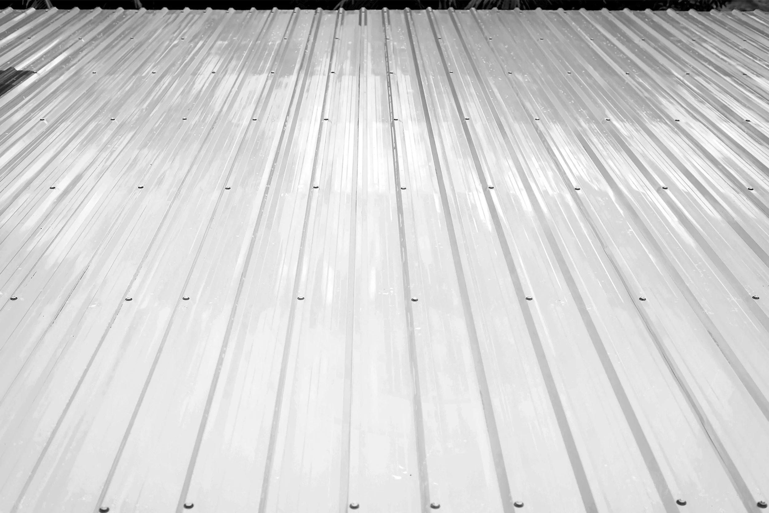 Roof_1_Web.jpg