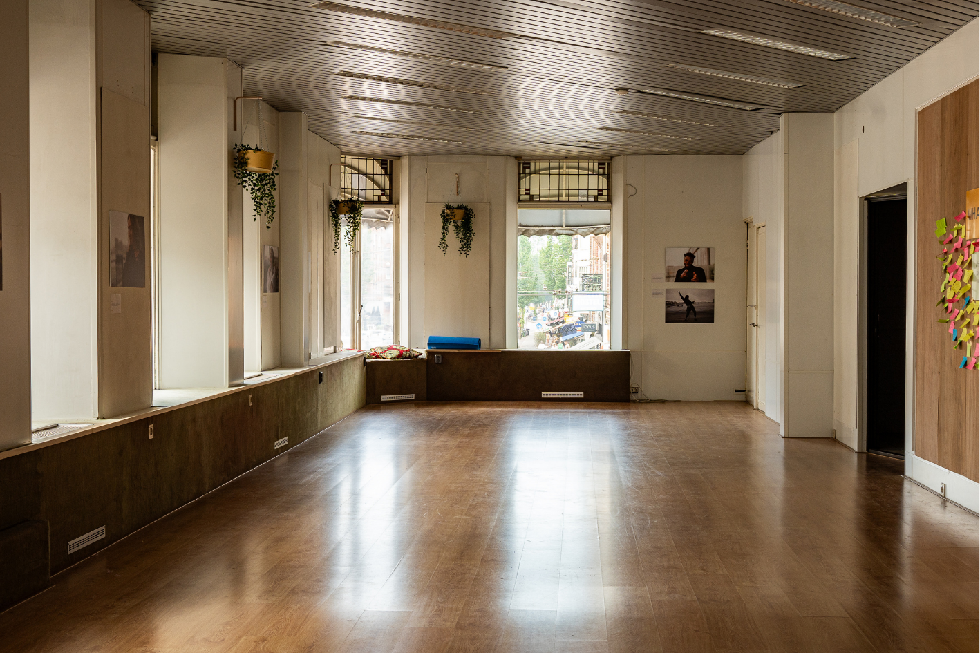Een lege kamer met houten vloer, grote ramen en witte muren, versierd met planten en foto's.