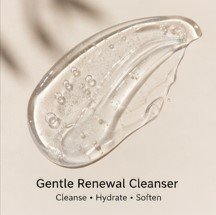 Gentle Renewal Cleanser Image.jpg