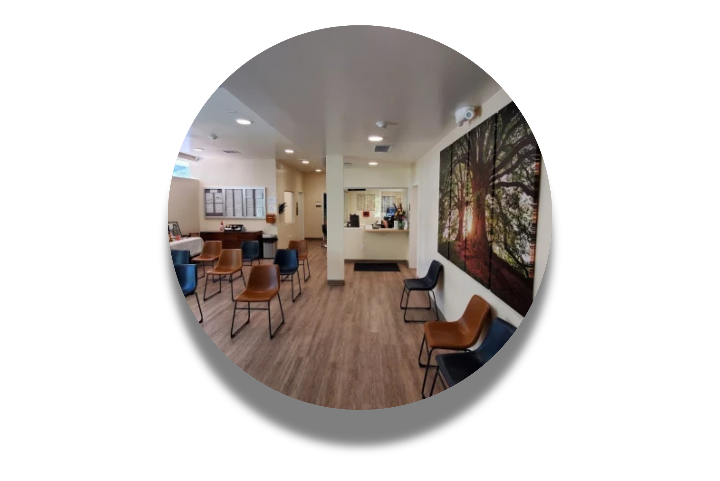 Interior of a waiting room with chairs, a reception desk, and wall art depicting trees and sunlight.