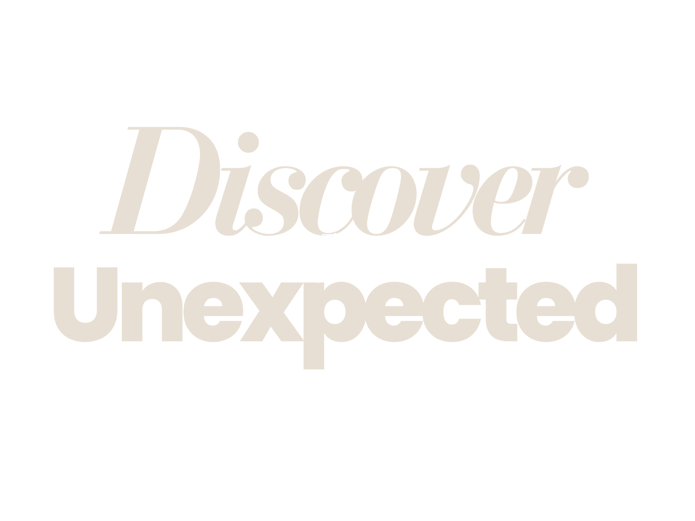 Logo for Robert's Antiques & Wine Discounter with stylish black-and-white text.