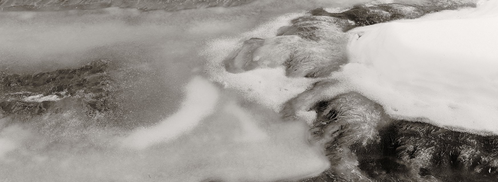 fine_art_1.jpg