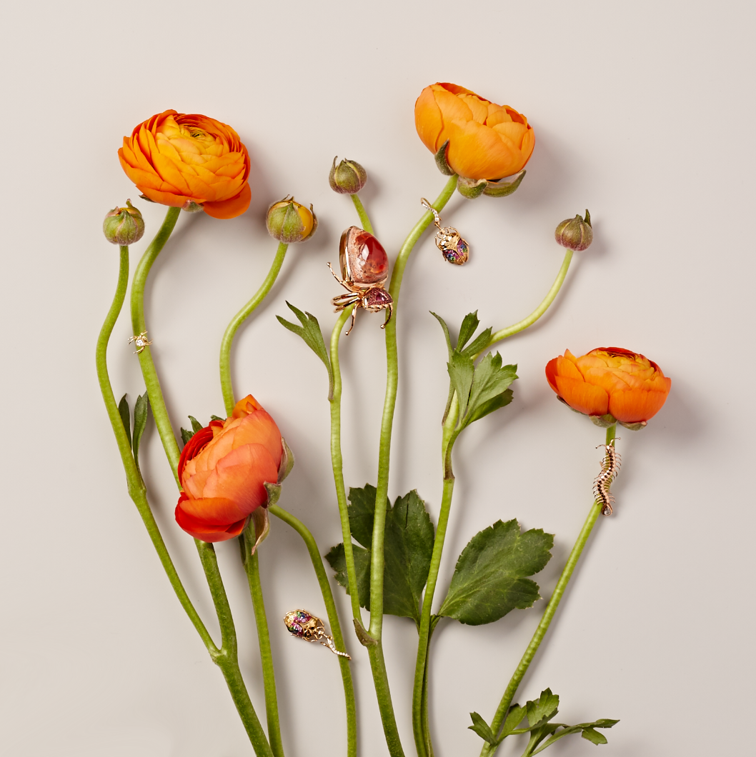 still_life_15.jpg