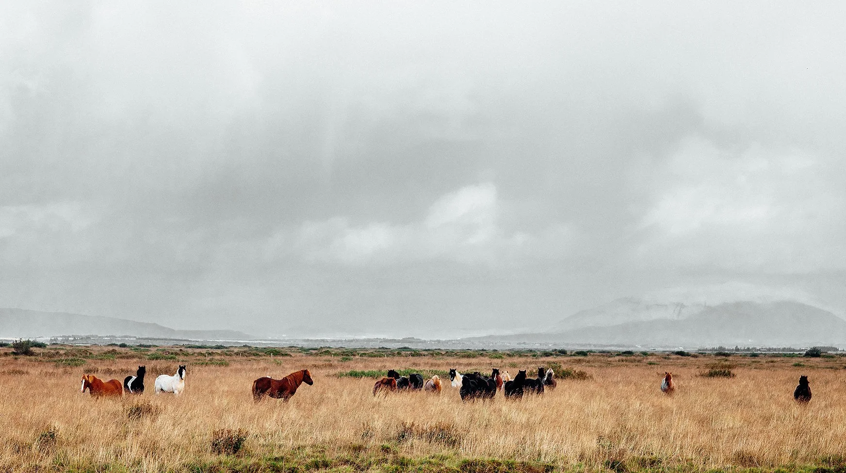 iceland_1.jpg