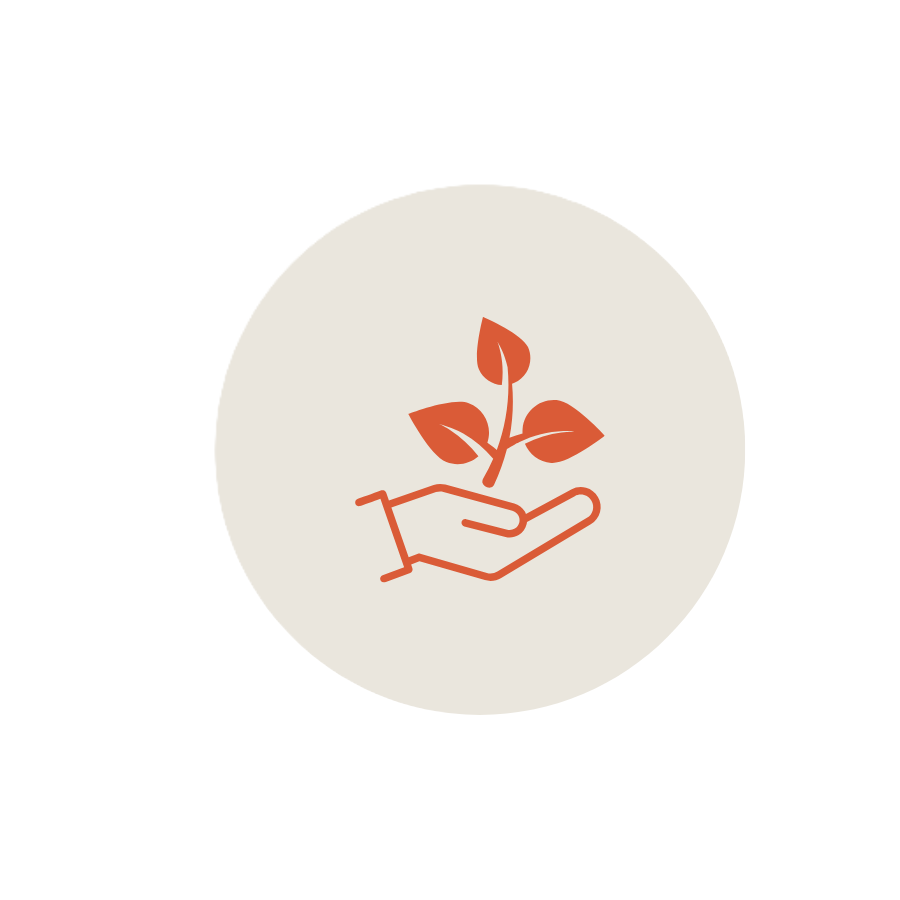 Icon of a hand holding a small tree with leaves.