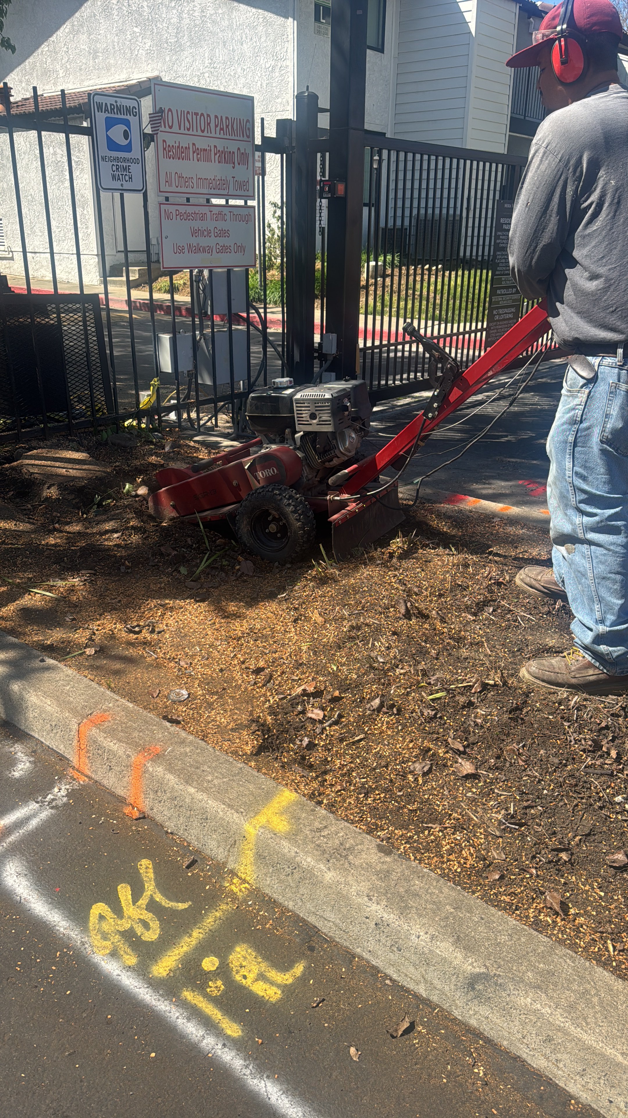 Professional Tree Stump Grinding