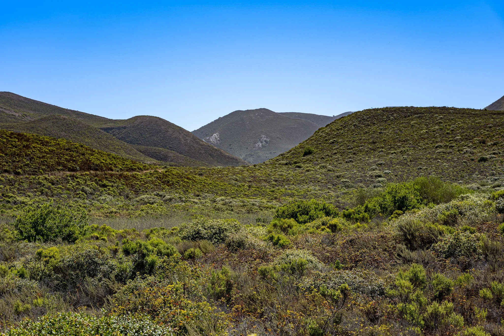 Montaña de Oro State Park