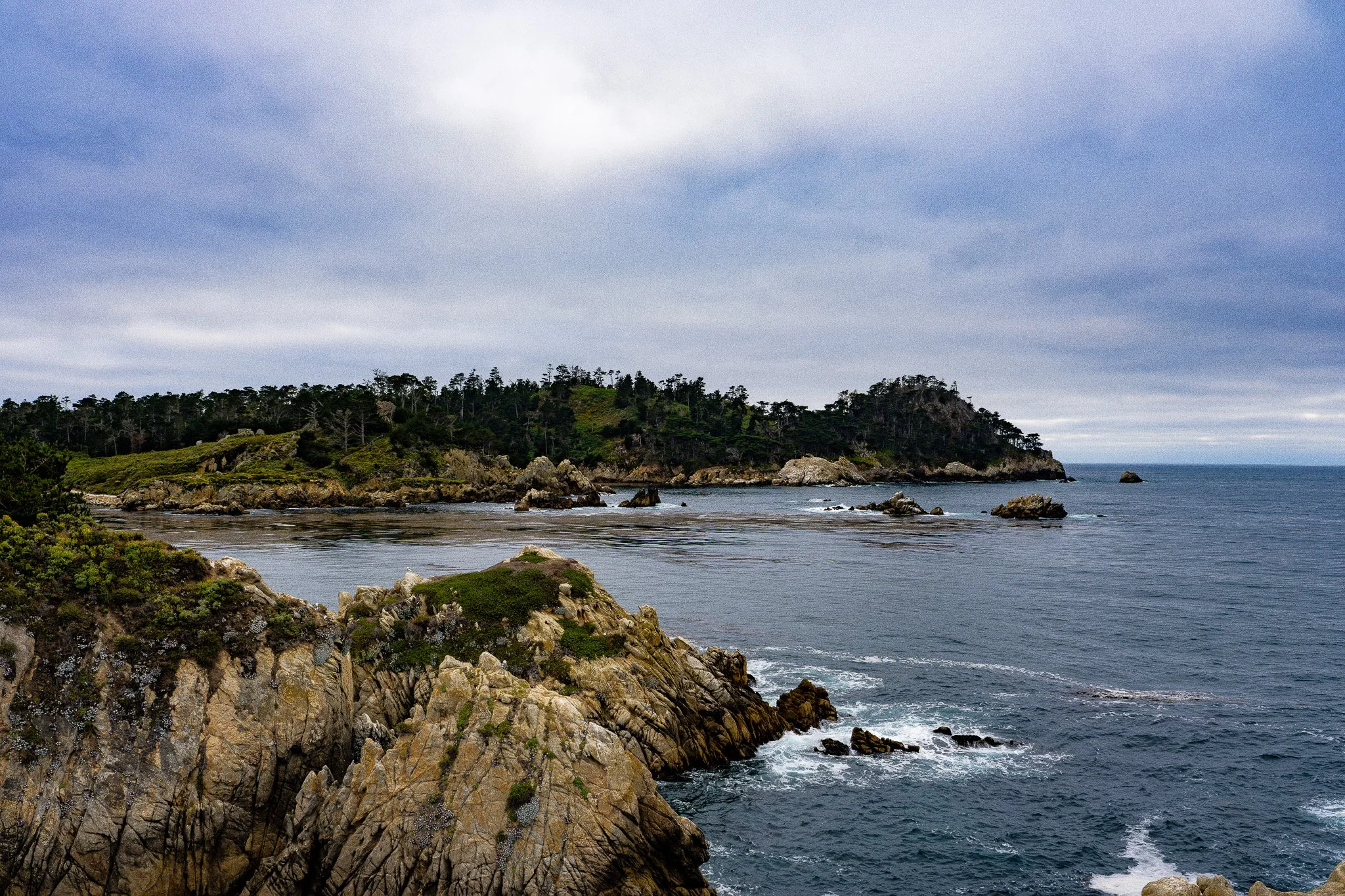 Point Lobos State Natural Reserve