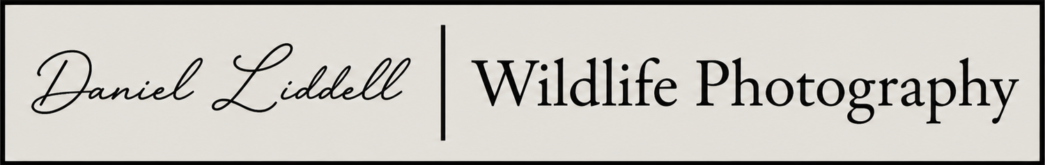 Your Site Title