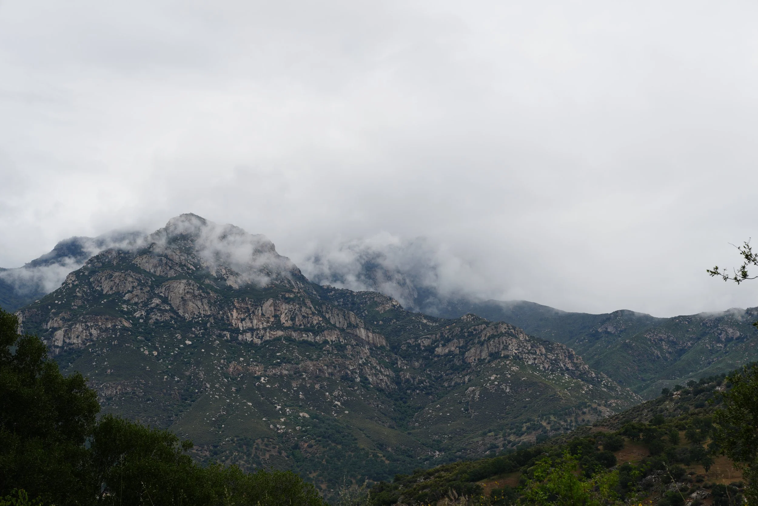Sequoia National Park