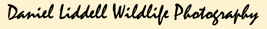 Your Site Title