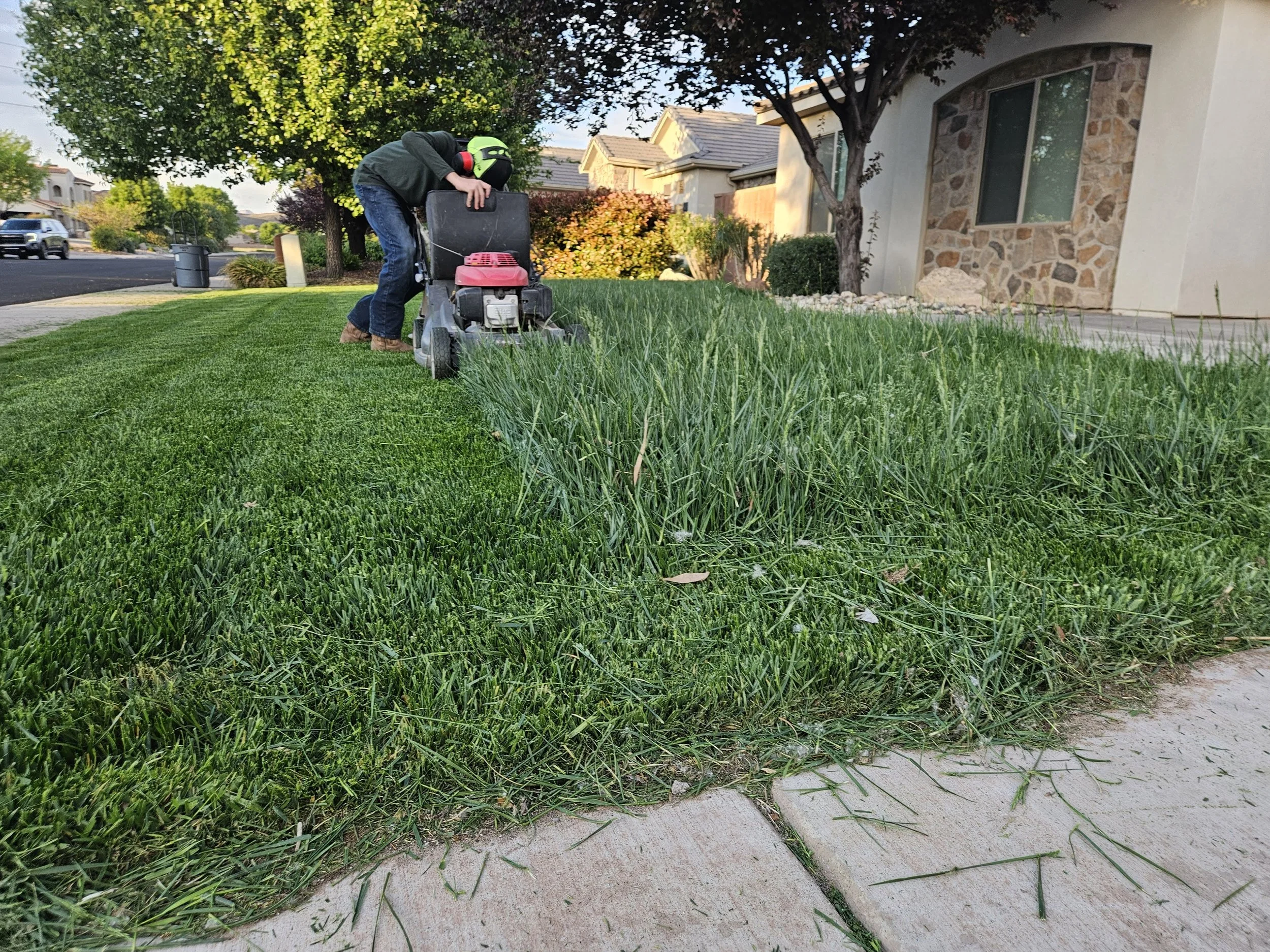 A person wearing a dark jacket, jeans, brown boots, a green helmet with a face shield and red earmuffs is bent over cutting grass with a line trimmer on a lawn in a residential neighborhood. There are trees, bushes, a house with stone and stucco exterior, and a sidewalk.