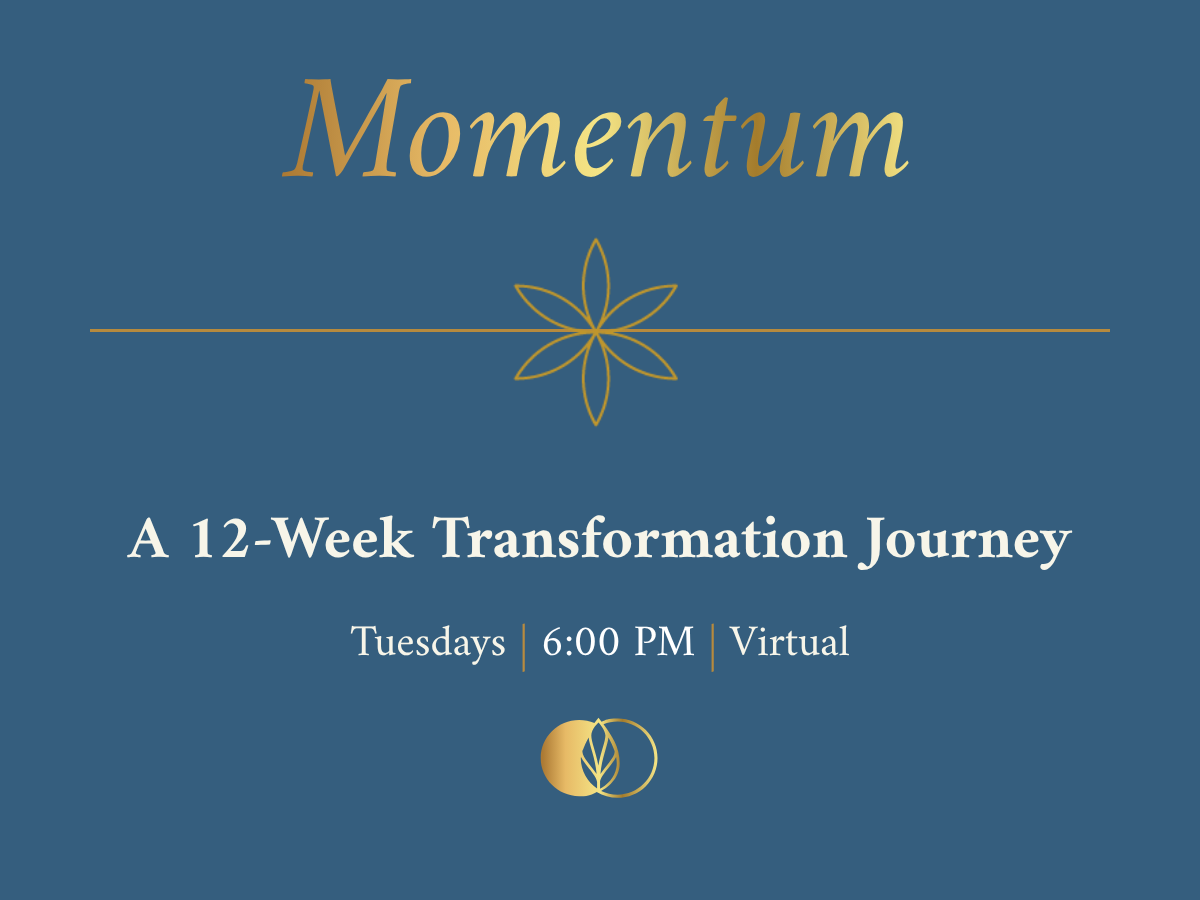 Momentum: A 12-Week Transformation Journey (Virtual)