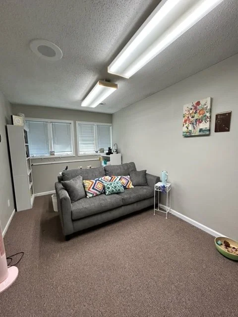 A gray sofa at Hopeful Healing Therapy in Kansas City with colorful pillows in a small living room with beige carpeting, white walls, and a ceiling light.