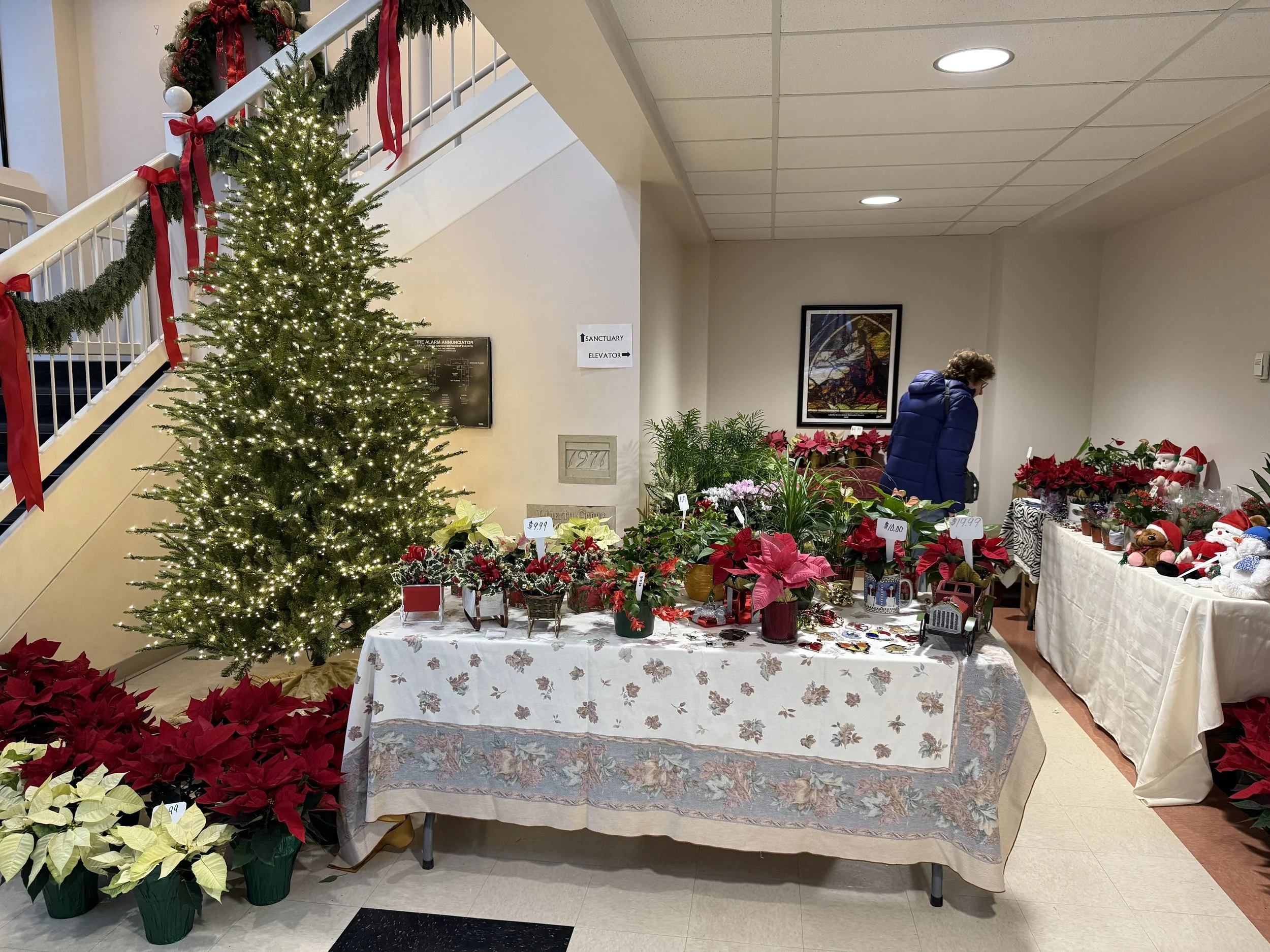 You won't be able to pass up taking home a live holiday plant that will brighten up your home and last for months after the holiday.