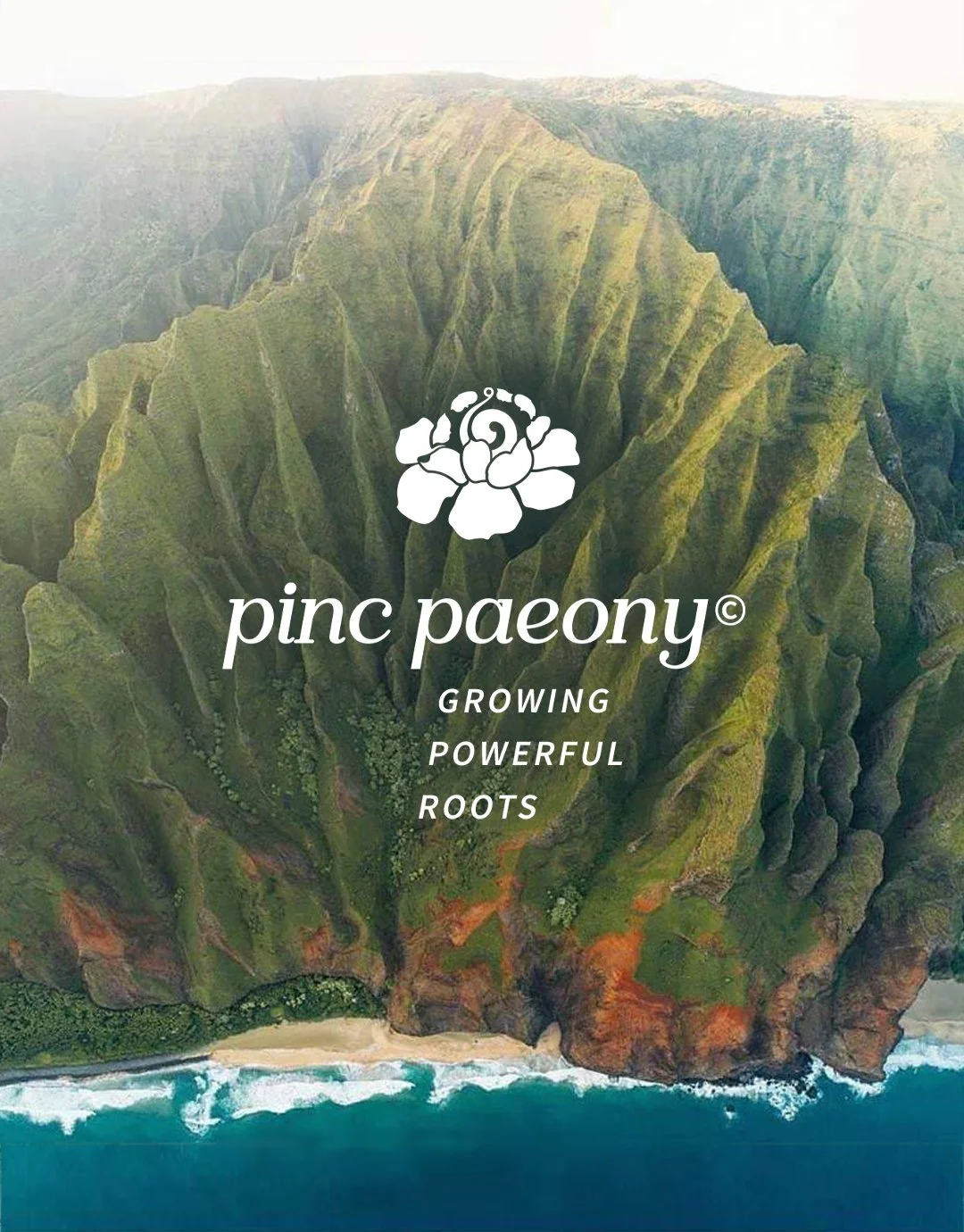 04_pincpaeony.jpg