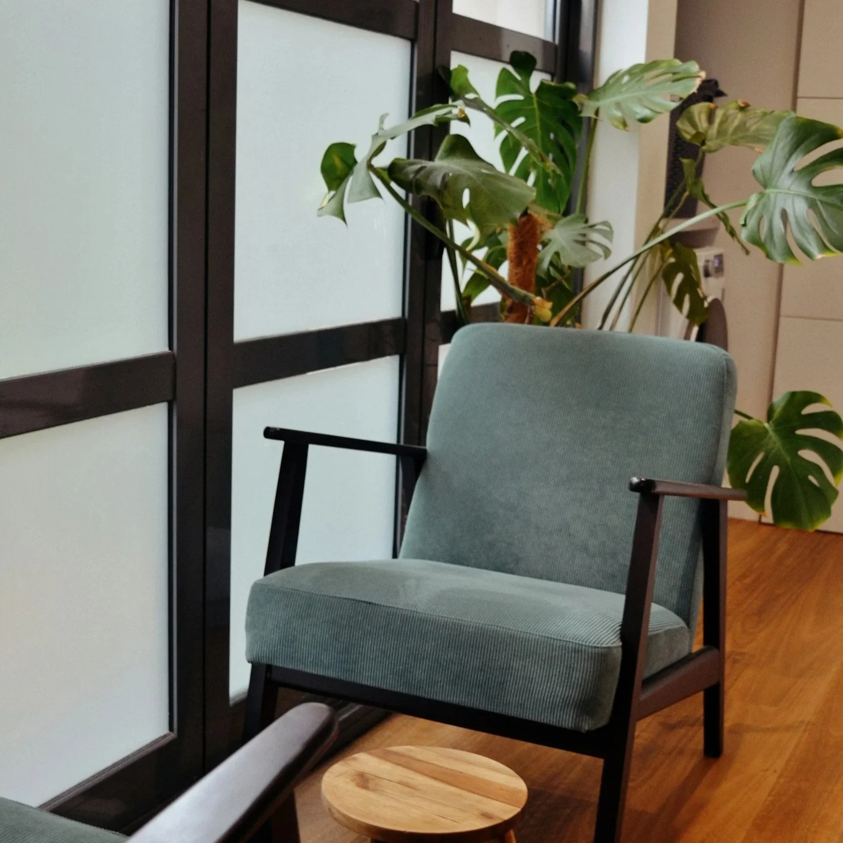 A modern therapy office space with a cushioned chair with black wooden armrests and legs, a small wooden round side table, a large green potted plant with big leaves, and a wood and glass partition in the background.