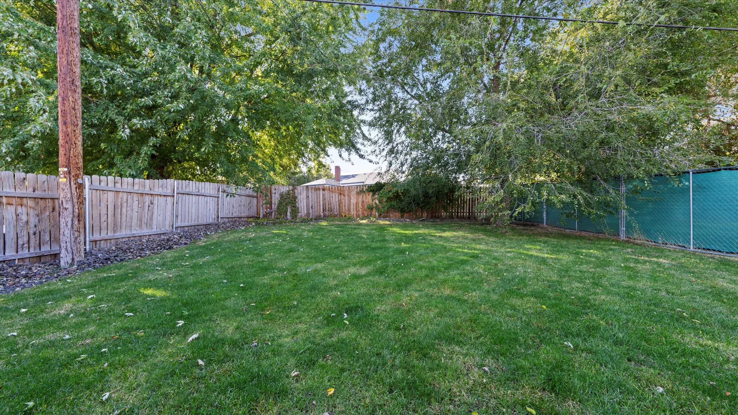 A backyard lawn with green grass, a wooden fence, large trees, and a green shade cloth on the right side, with a neighboring house roof visible in the background.