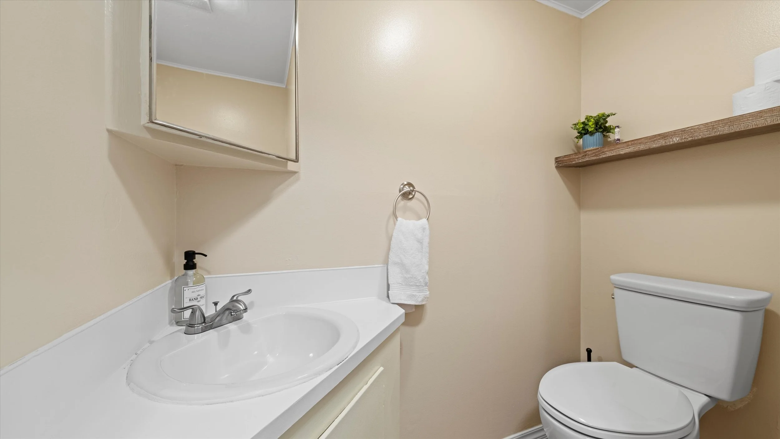 Bathroom with cream-colored walls, a white sink with a silver faucet, a mirror above the sink, a hand soap dispenser, a white towel hanging on a silver ring, a floating wooden shelf with a potted plant, and a white toilet.