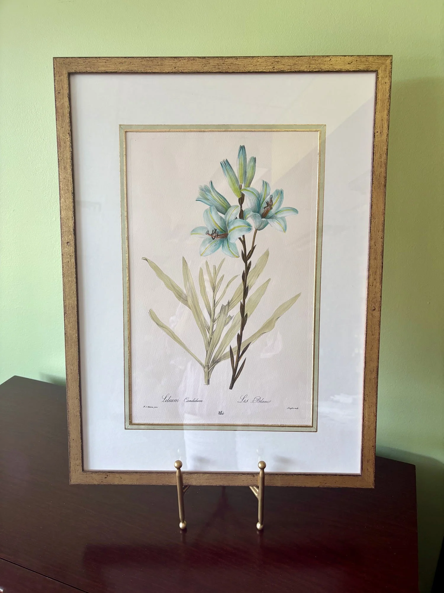 “The Madonna Lily” Hand-Painted Botanical Print with hand-painted French matting