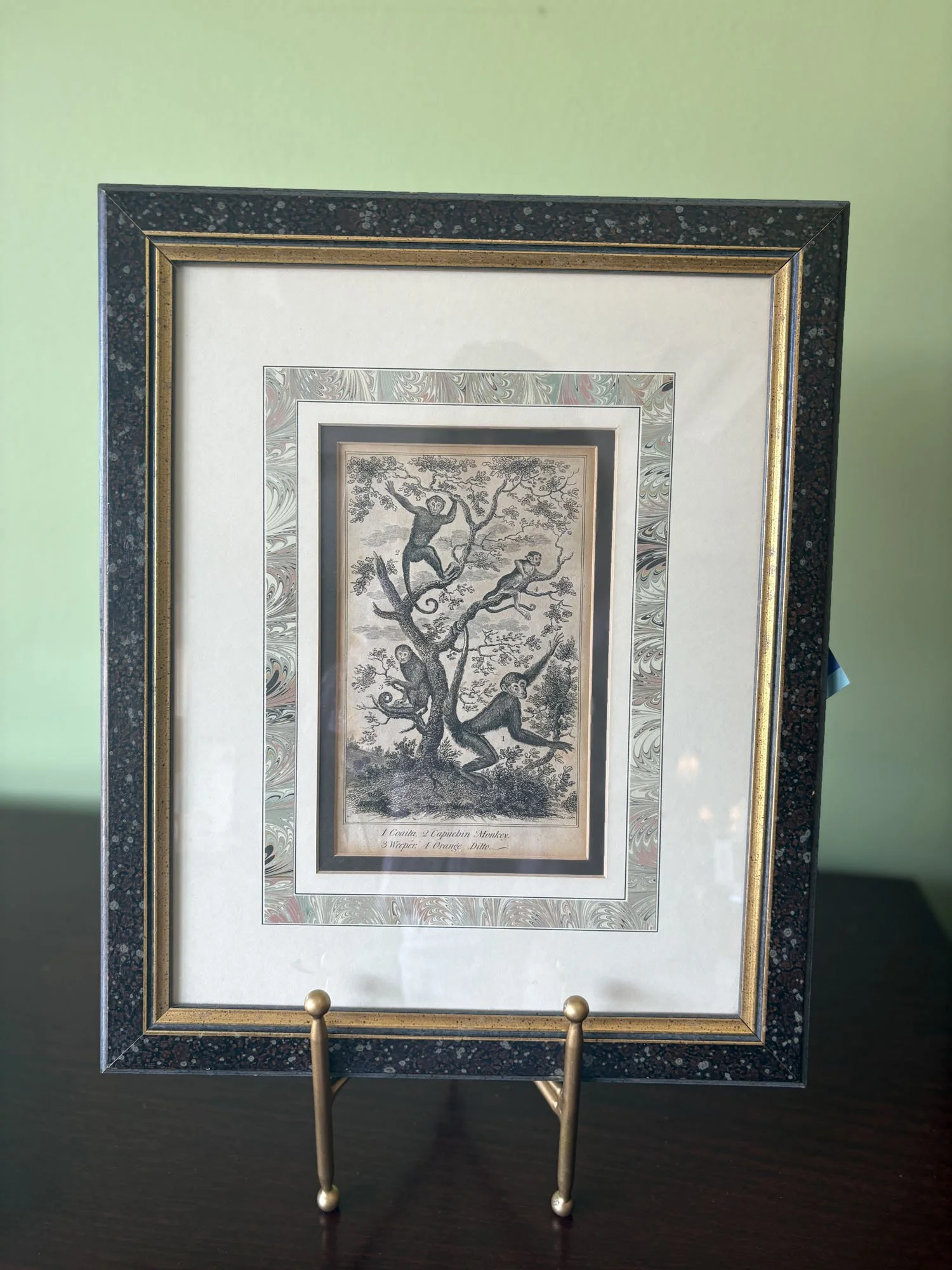 "Monkeys" 18th-Century Antique Natural History Engraving
