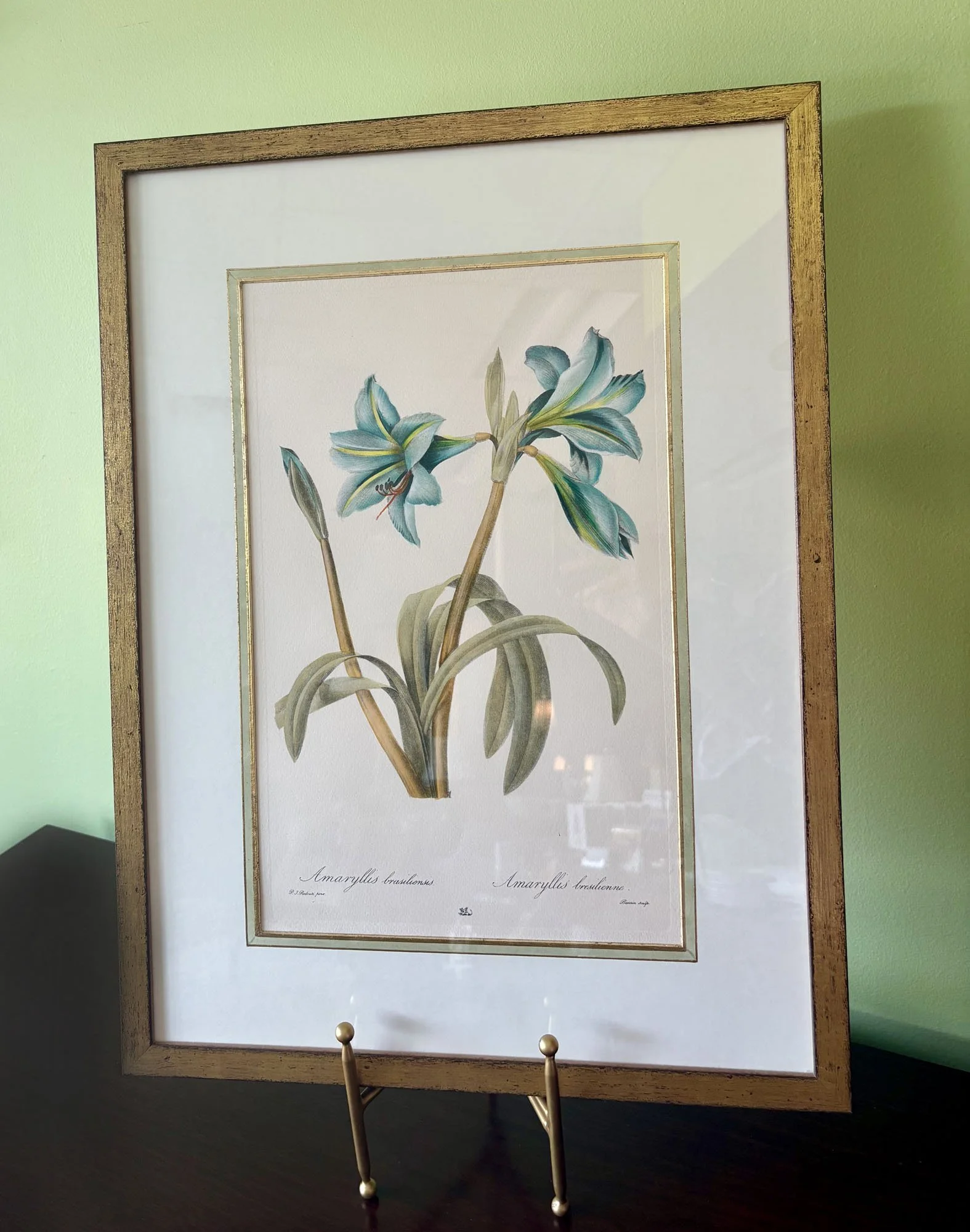 “Brazilian Amaryllis” Hand-Painted Botanical Print with Hand-Painted French Matting