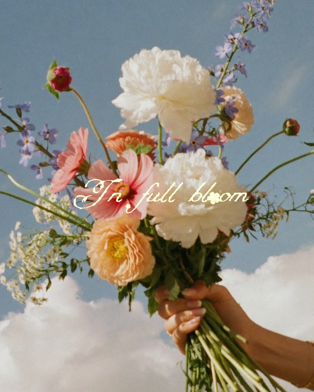 For the flower girls, the florists, the brands that could always use just one more bouquet.

19 dreamy images filled with sun-soaked gardens, overflowing stems, florist-at-work moments, soft 35mm textures and flowers, flowers, flowers.

Now blooming 