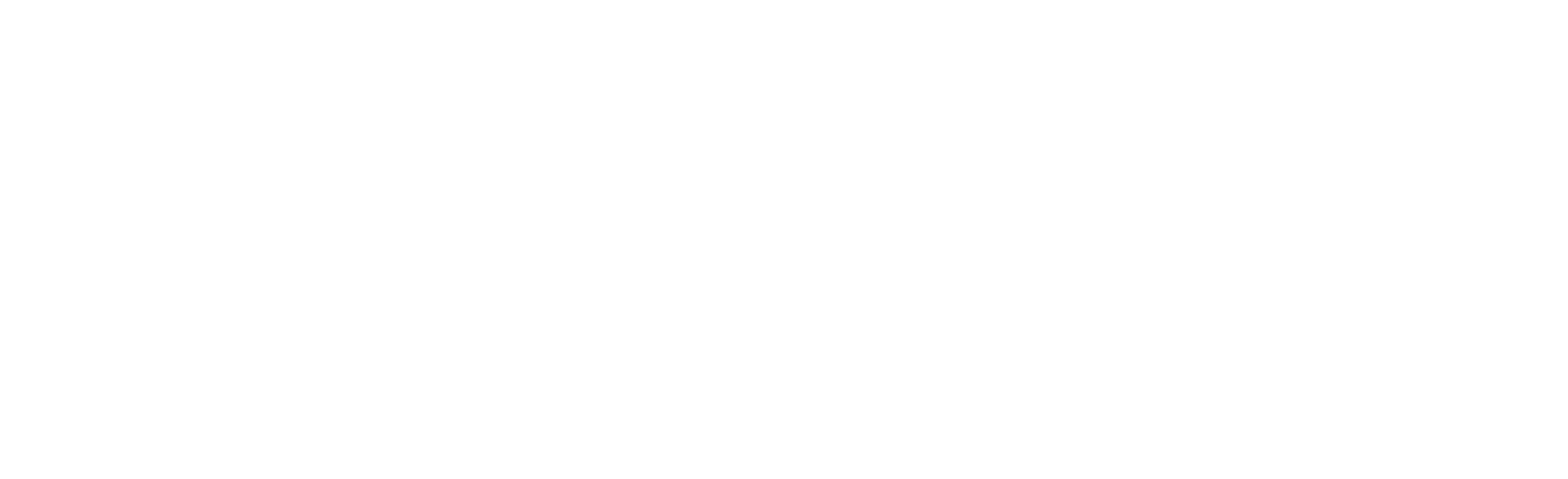 Ortiz Counseling and Consulting