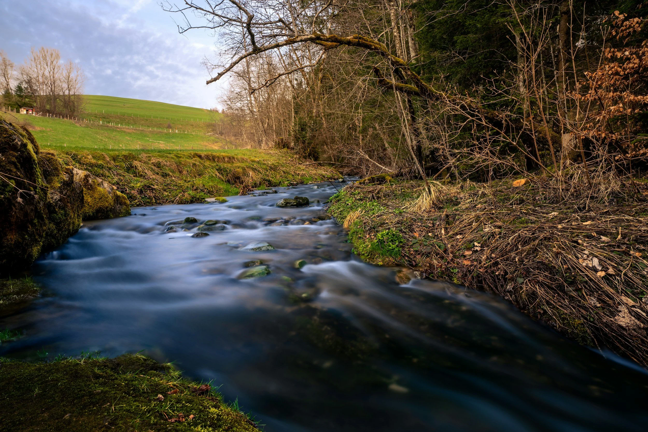stream rushing around bend between sloping green field and forest
