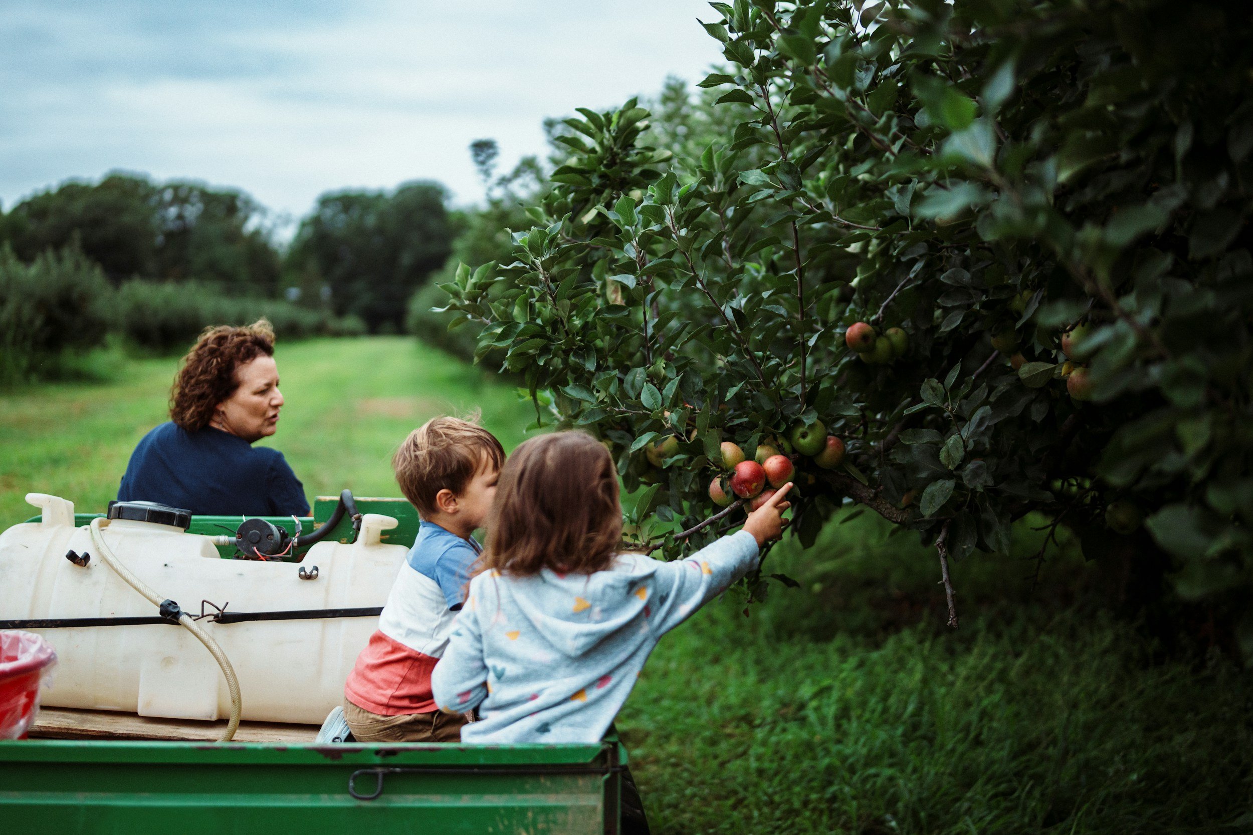 mother and two children riding in cart picking apples as they pass tress in an orchard