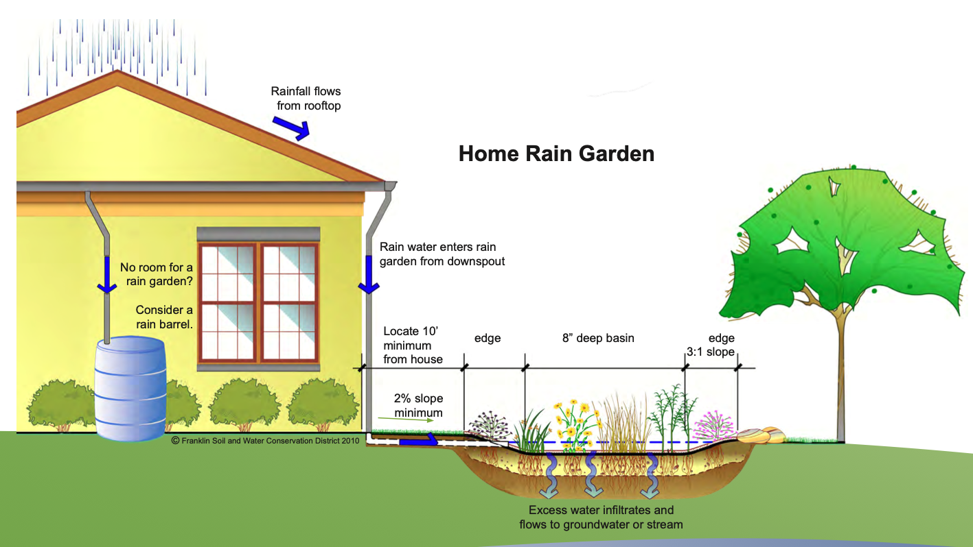 color diagram of a rain garden working for a typical home landscape