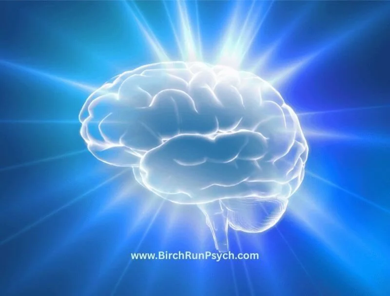The Science Behind Trauma Recovery: How Trauma Therapy Helps the Brain Heal