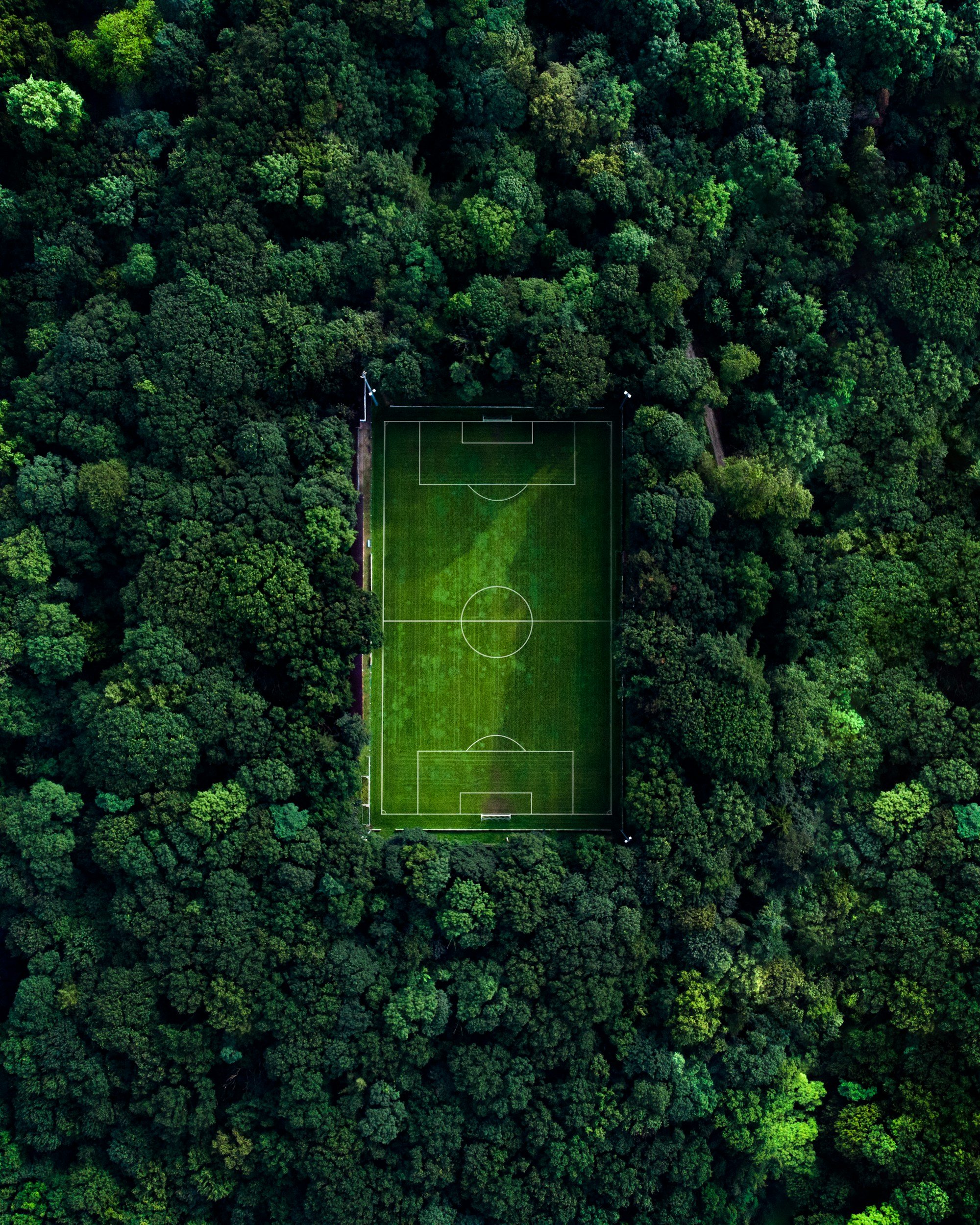 A soccer field surrounded by dense green trees, viewed from above.