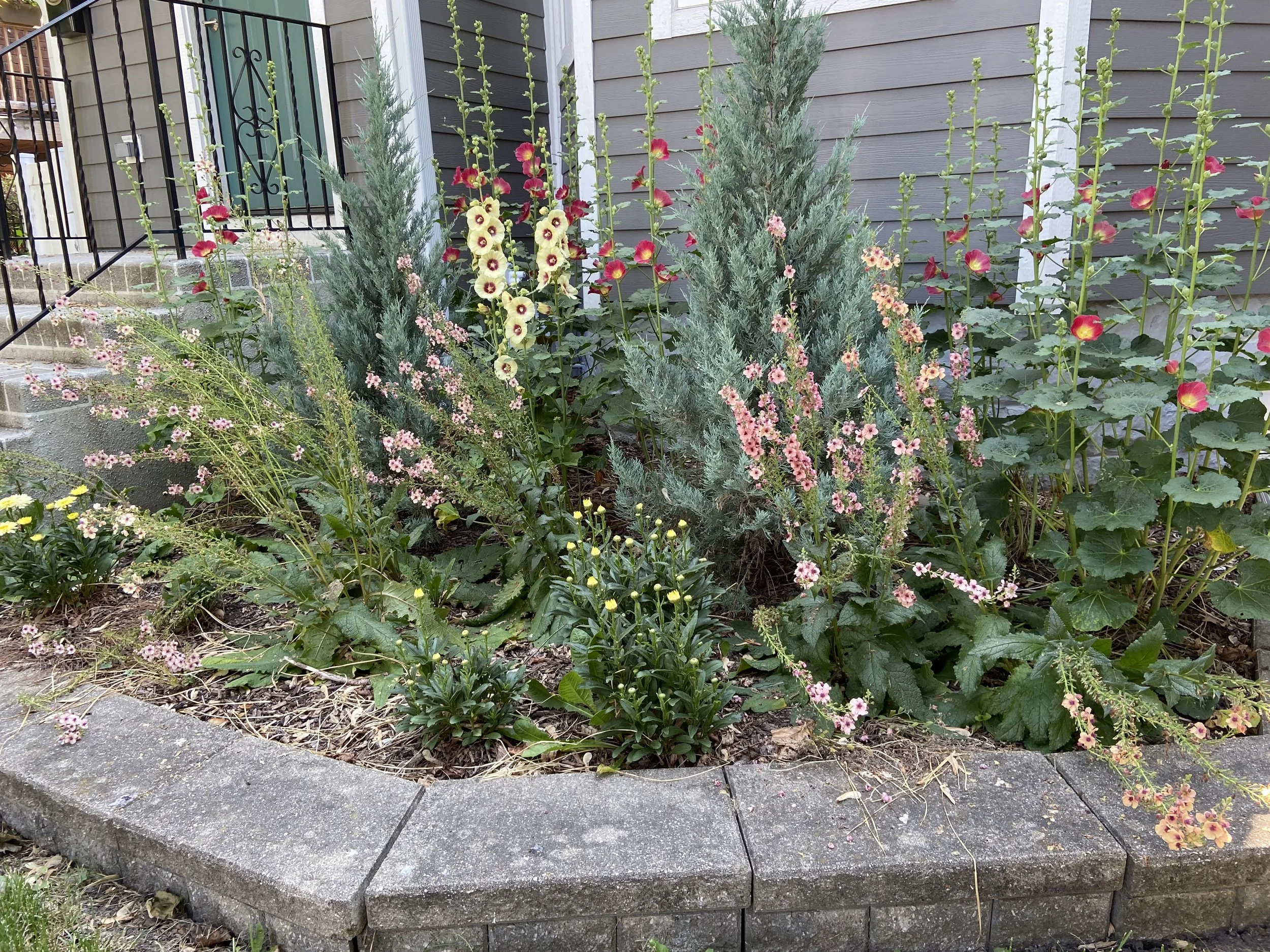 ornamental-border.jpg