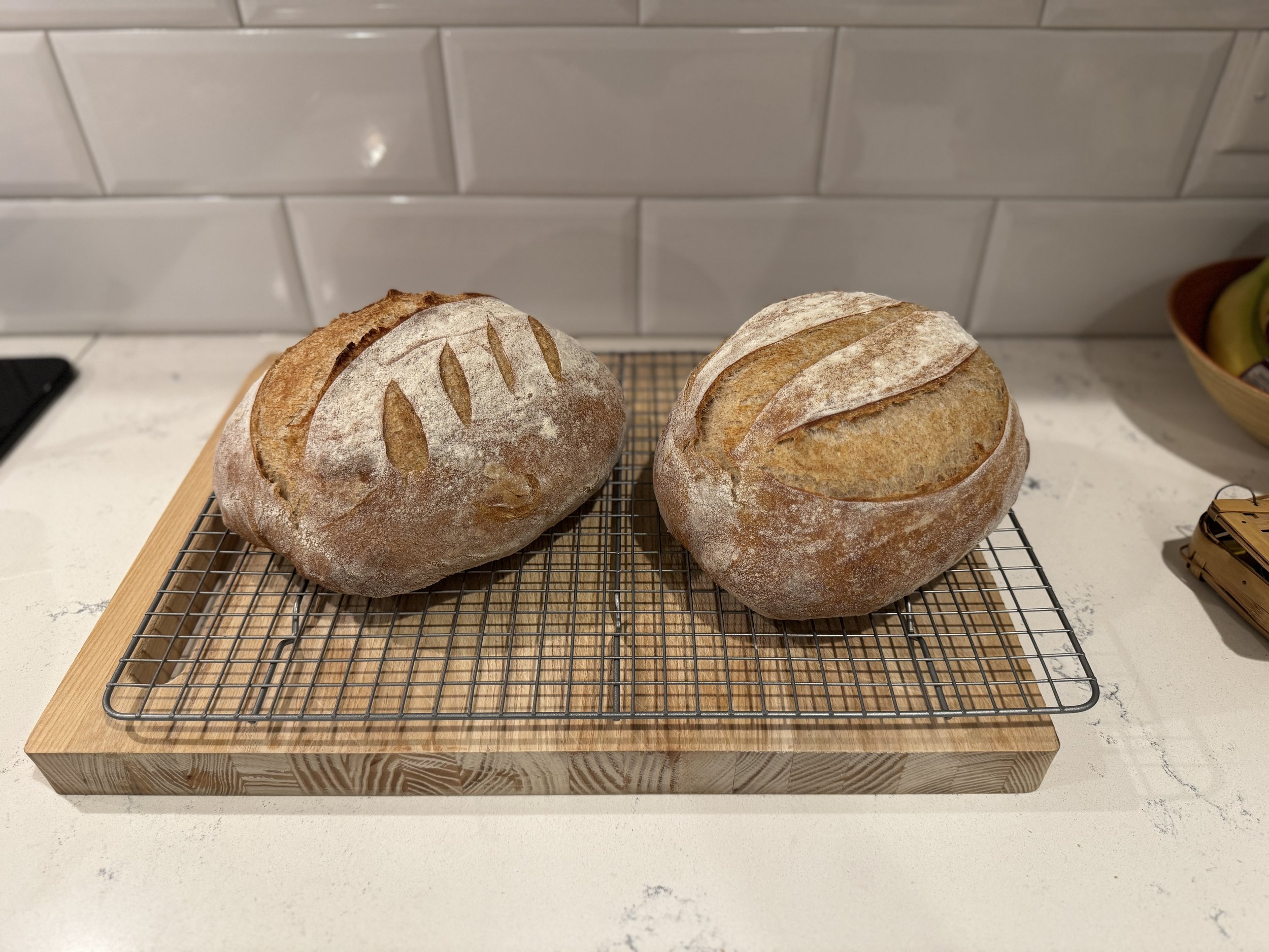 sourdough-bread-loaves.JPG