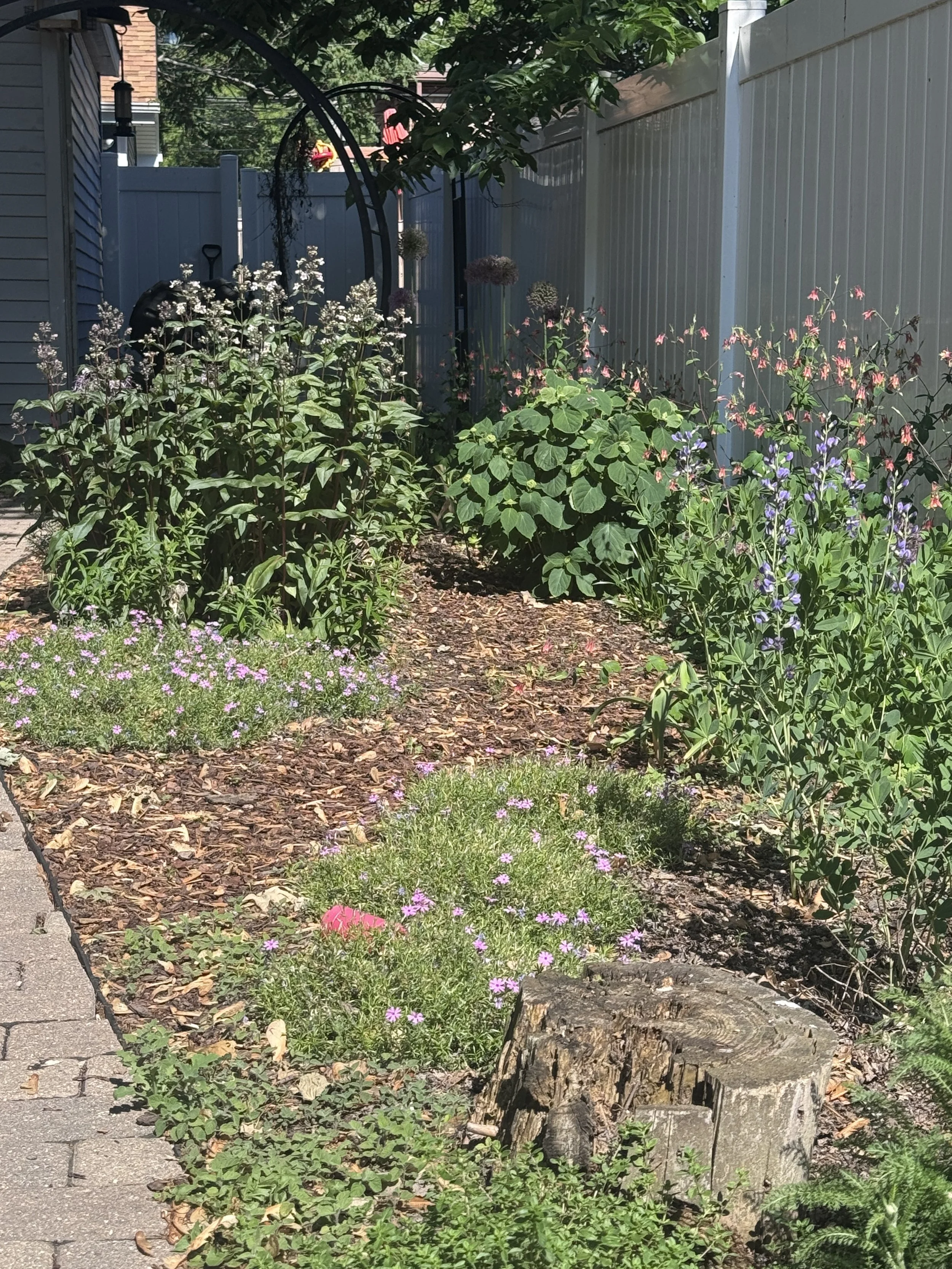 native-perennial-gardens