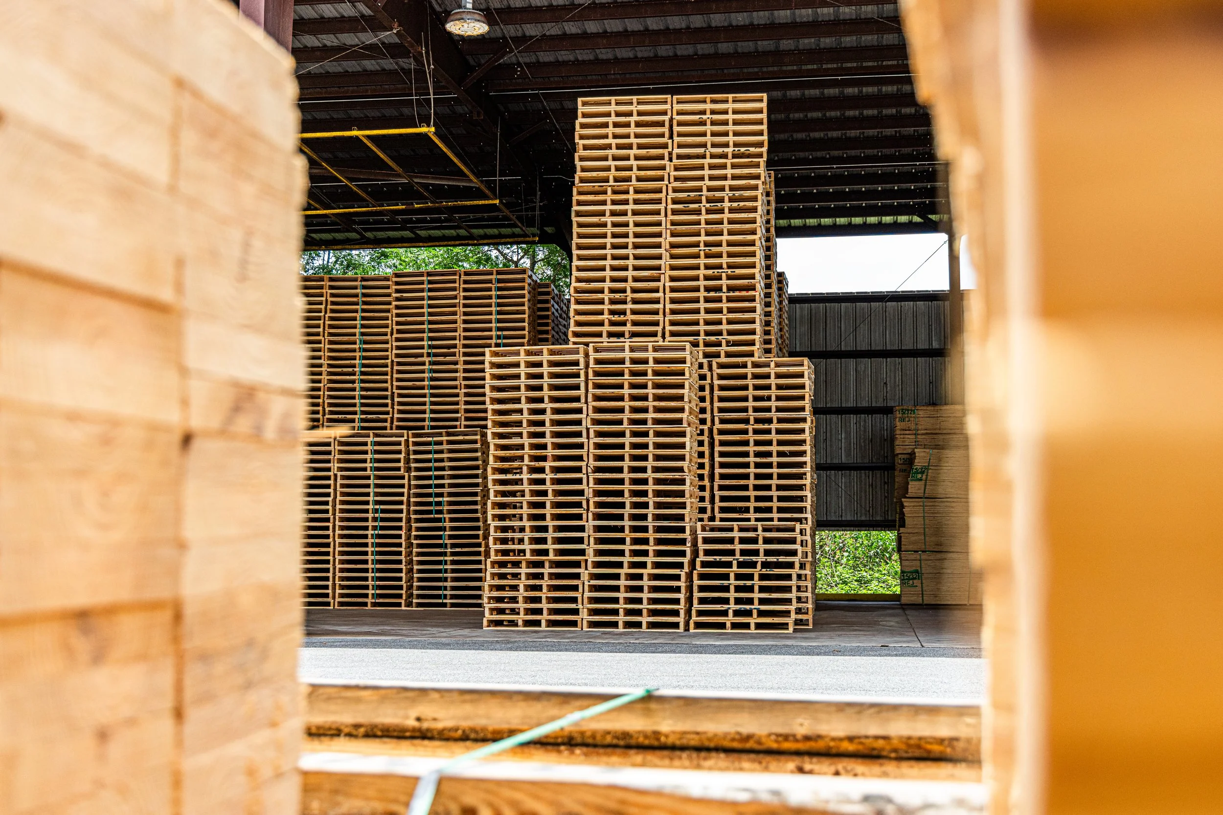 Stacks of wooden pallets inside a large industrial warehouse, viewed through a rectangular opening in the foreground.