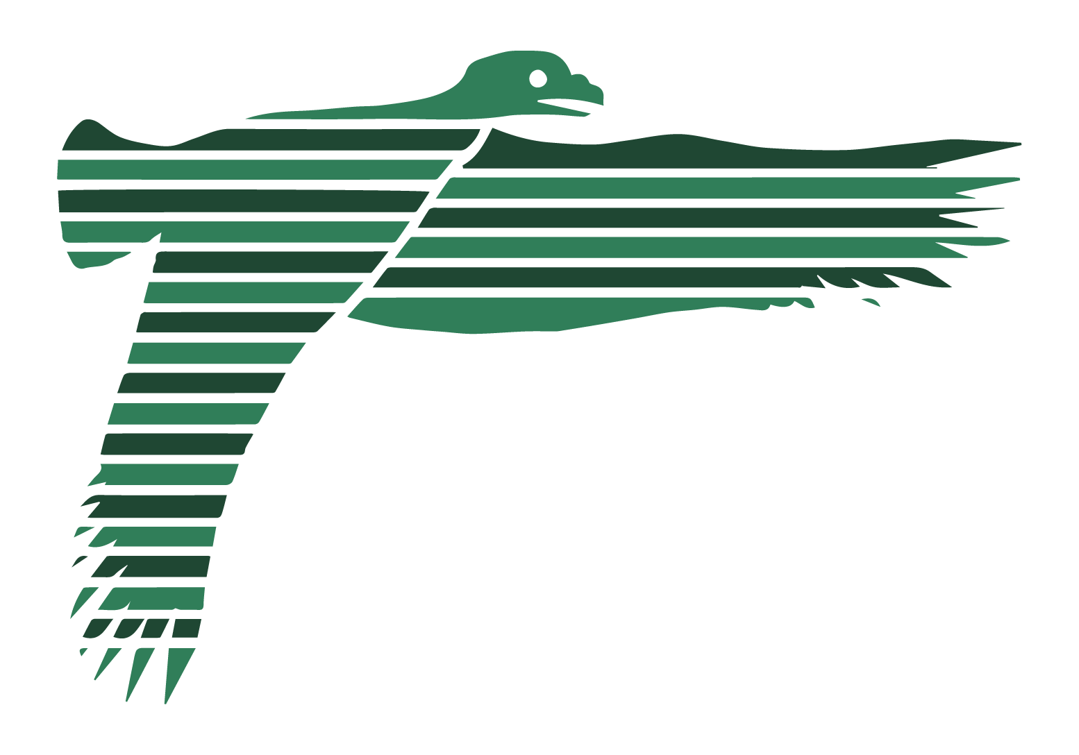 Graphic of a duck with horizontal green stripes across the body and tail, facing to the right.